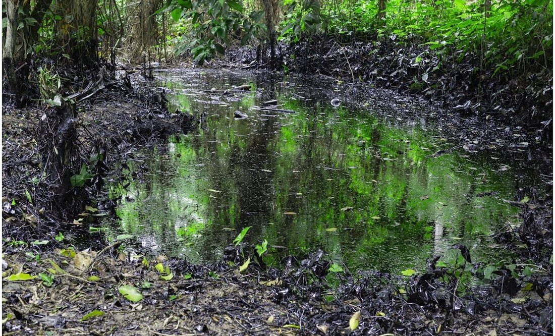 Featured image for “Pemex inicia limpieza tras derrame de hidrocarburo en Veracruz”