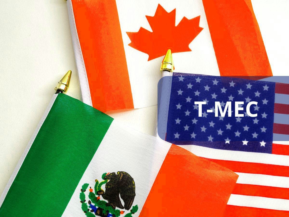 Featured image for “Revisión del T-MEC: Comercio en la Encrucijada Mexicana”